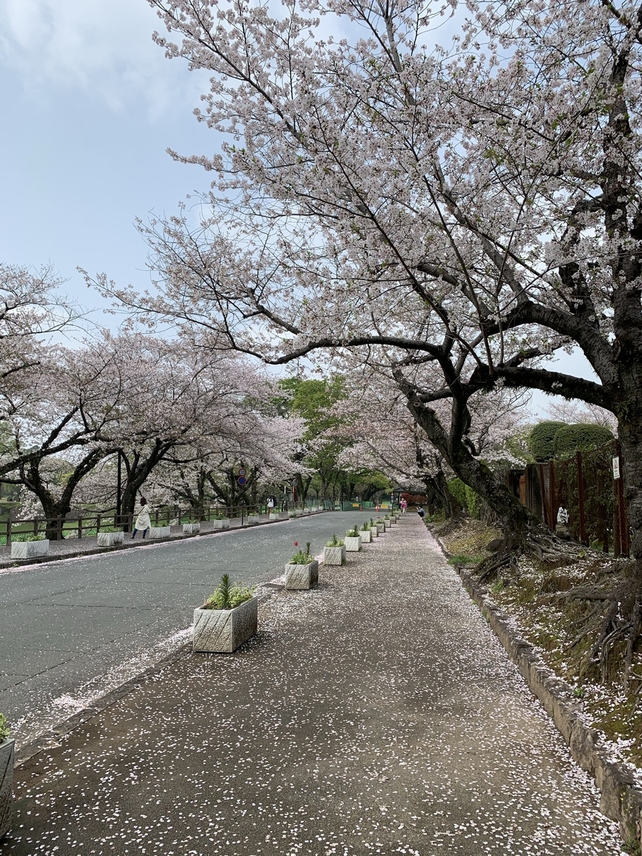 f:id:hachiburo:20210501150429j:plain