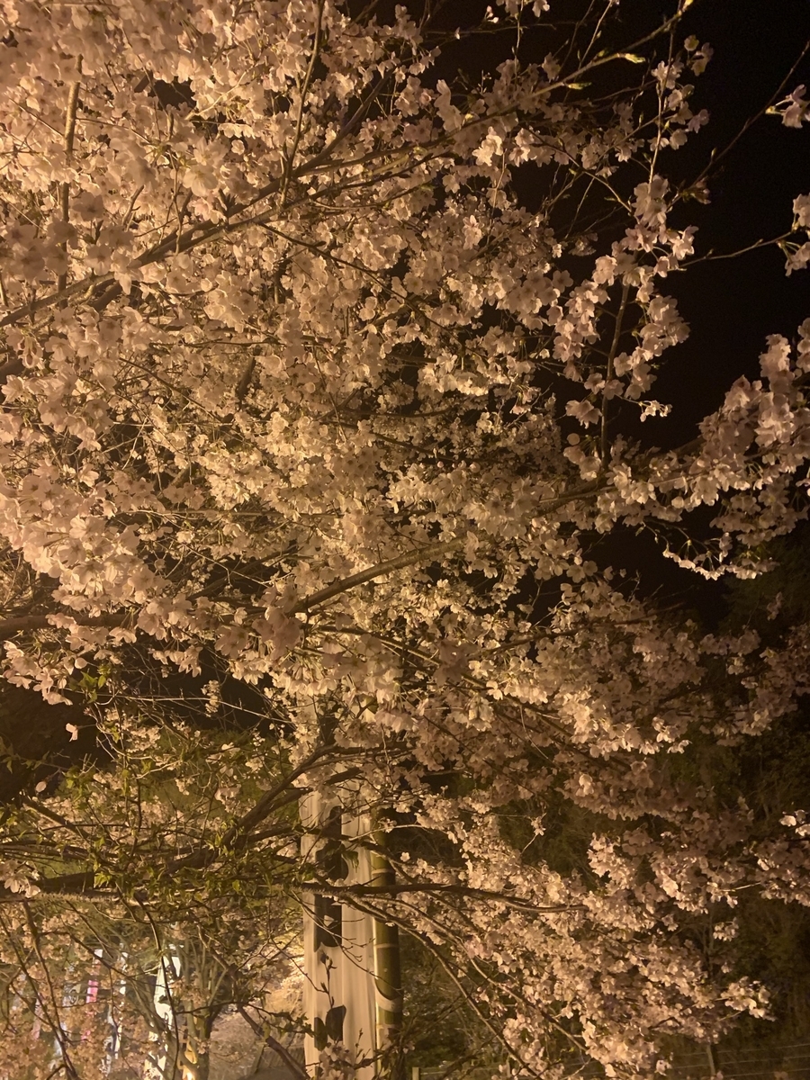 f:id:hachiburo:20210501153146j:plain