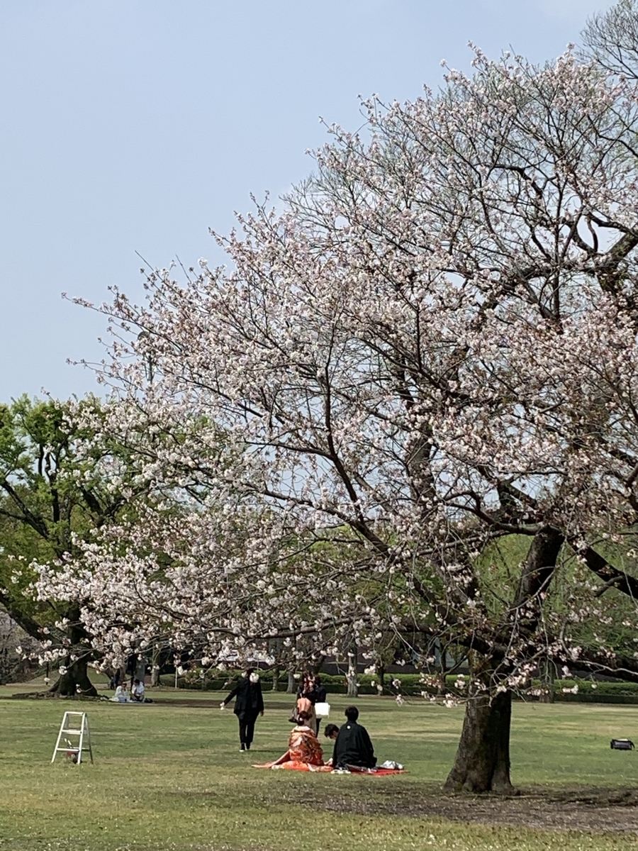 f:id:hachiburo:20210501172420j:plain