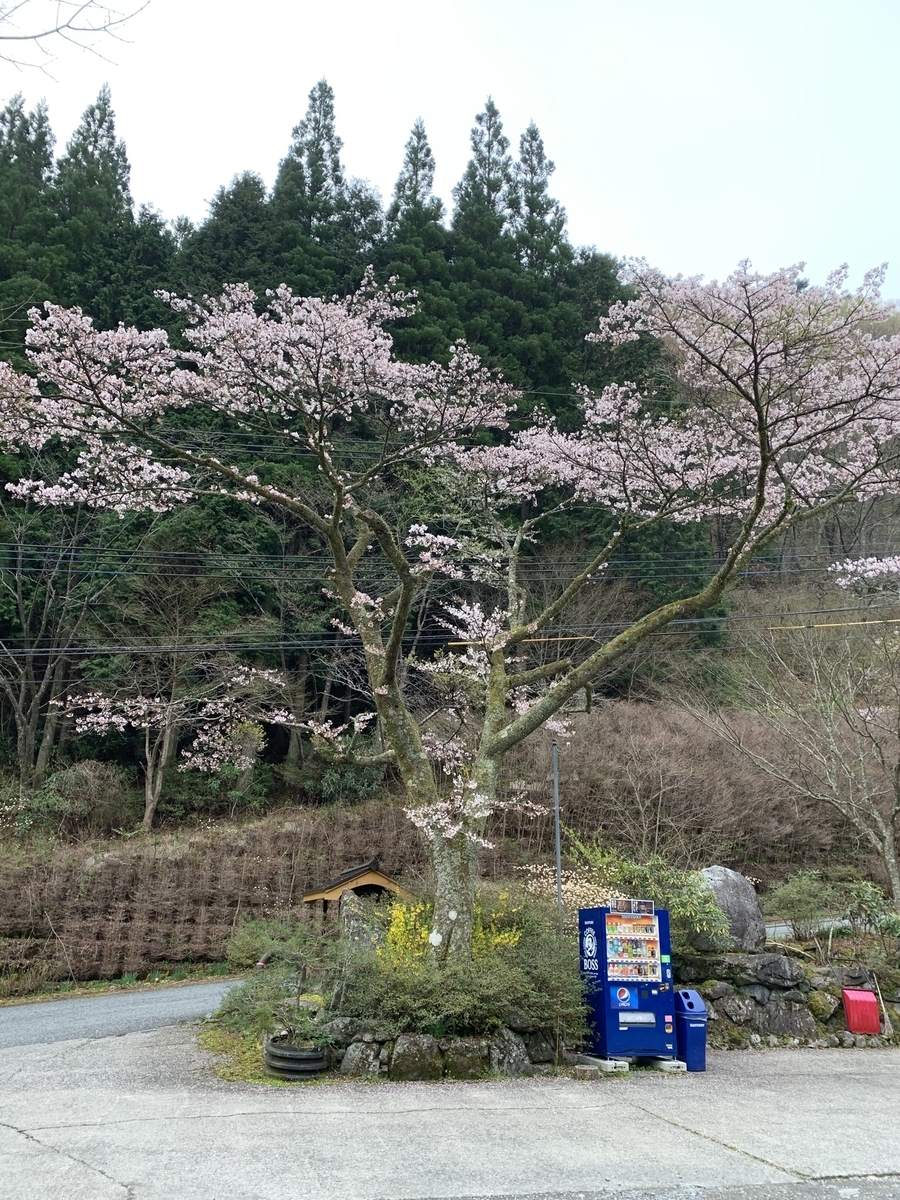 f:id:hachiburo:20210511141258j:plain