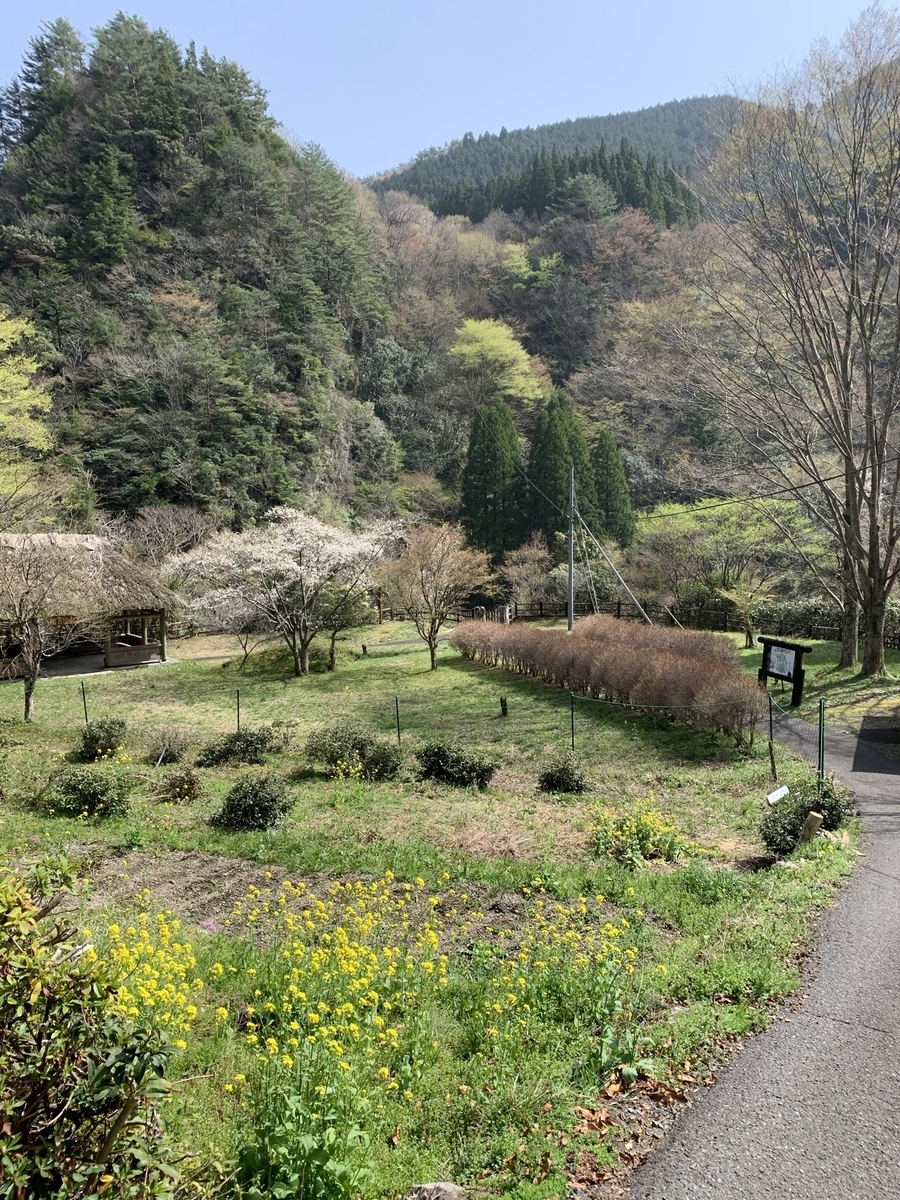 f:id:hachiburo:20210511144158j:plain