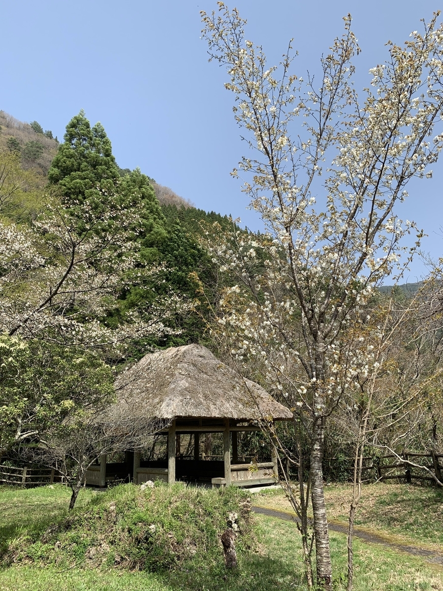 f:id:hachiburo:20210511144231j:plain