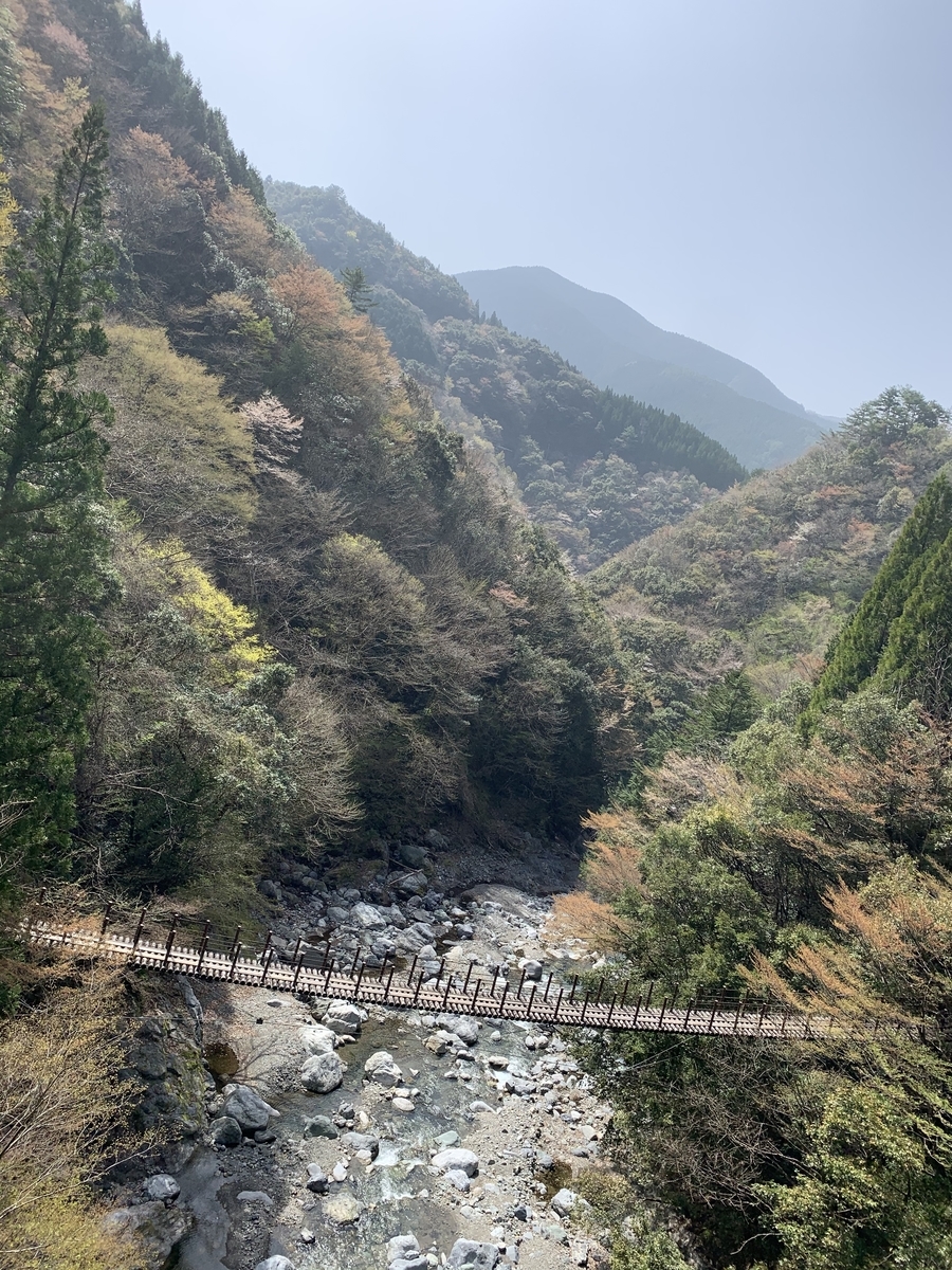 f:id:hachiburo:20210511144354j:plain