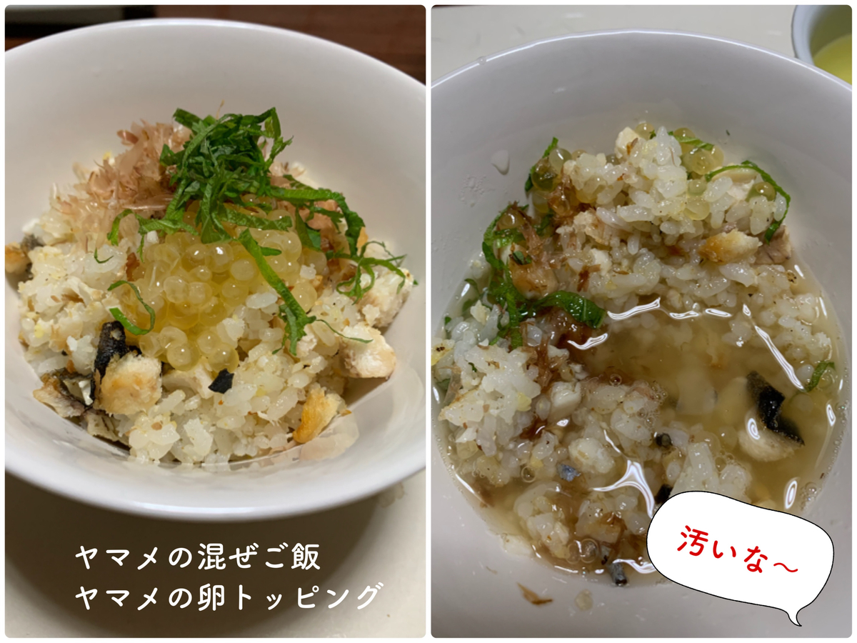 f:id:hachiburo:20210517111312j:plain