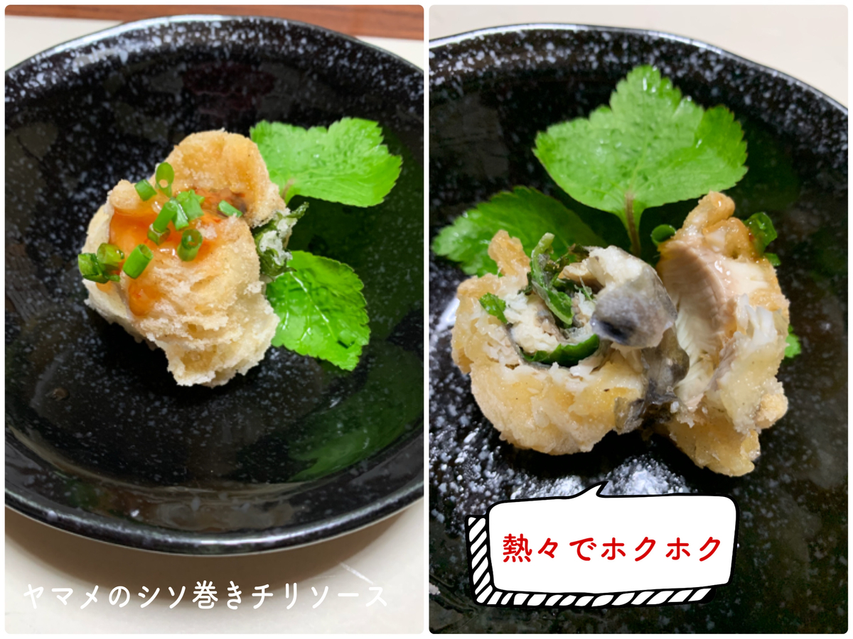 f:id:hachiburo:20210517111334j:plain