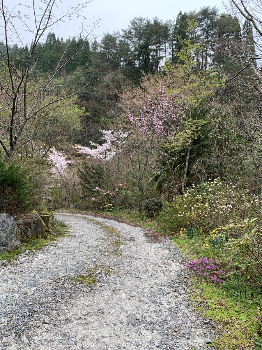 f:id:hachiburo:20210517144948j:plain