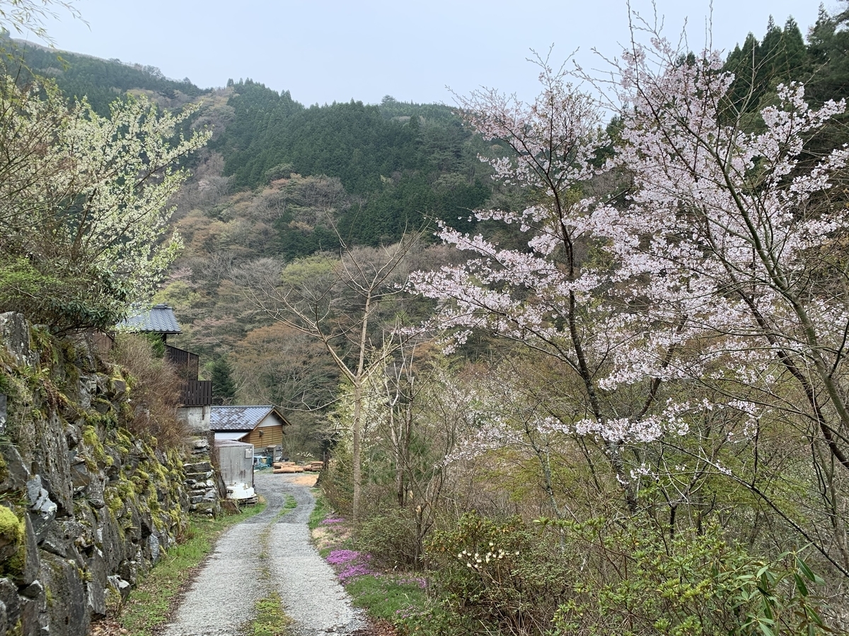 f:id:hachiburo:20210517145050j:plain