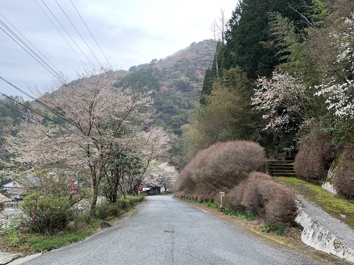 f:id:hachiburo:20210517150111j:plain