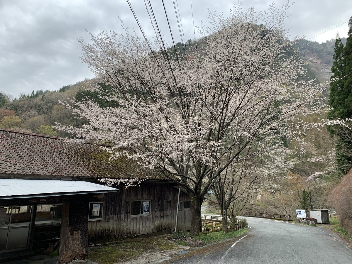 f:id:hachiburo:20210517150240j:plain