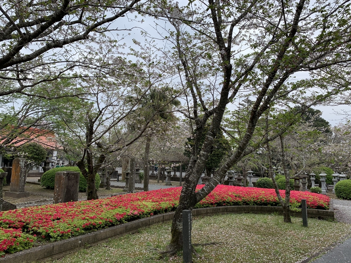 f:id:hachiburo:20210609195349j:plain