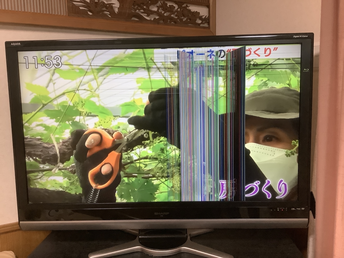 f:id:hachiburo:20210611134120j:plain