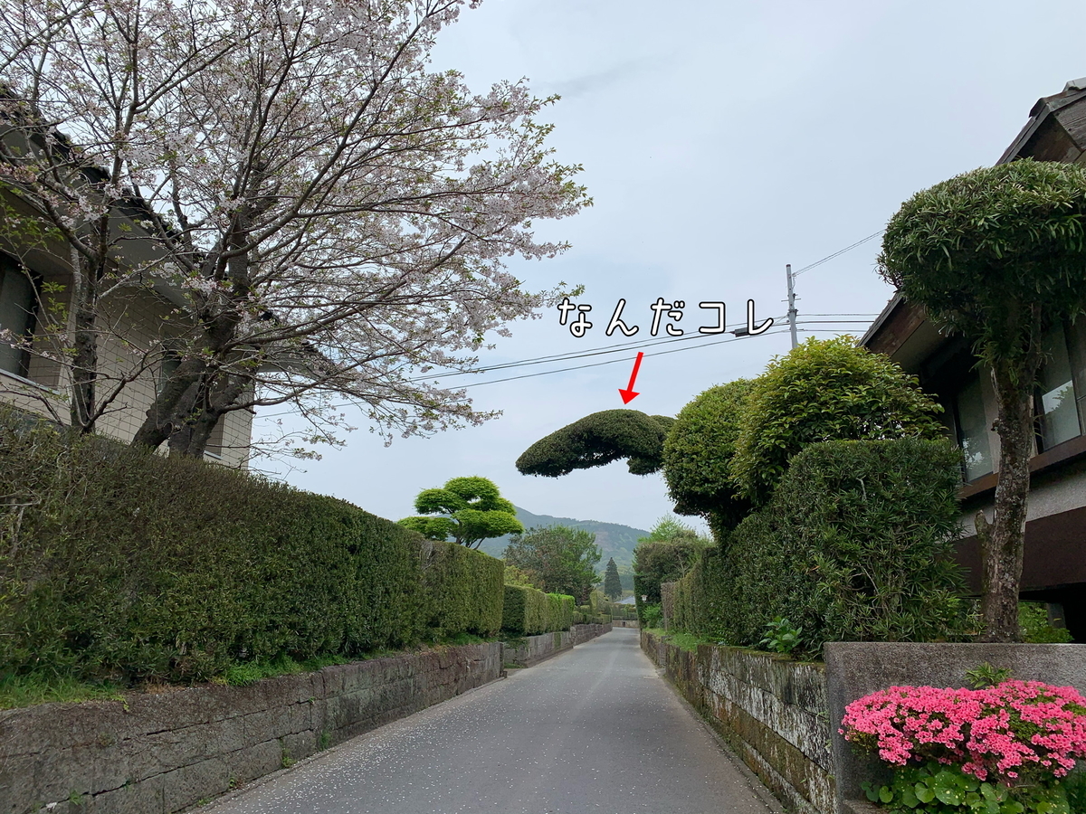 f:id:hachiburo:20210611135411j:plain