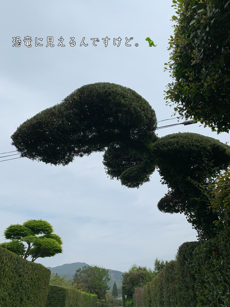 f:id:hachiburo:20210611135547j:plain