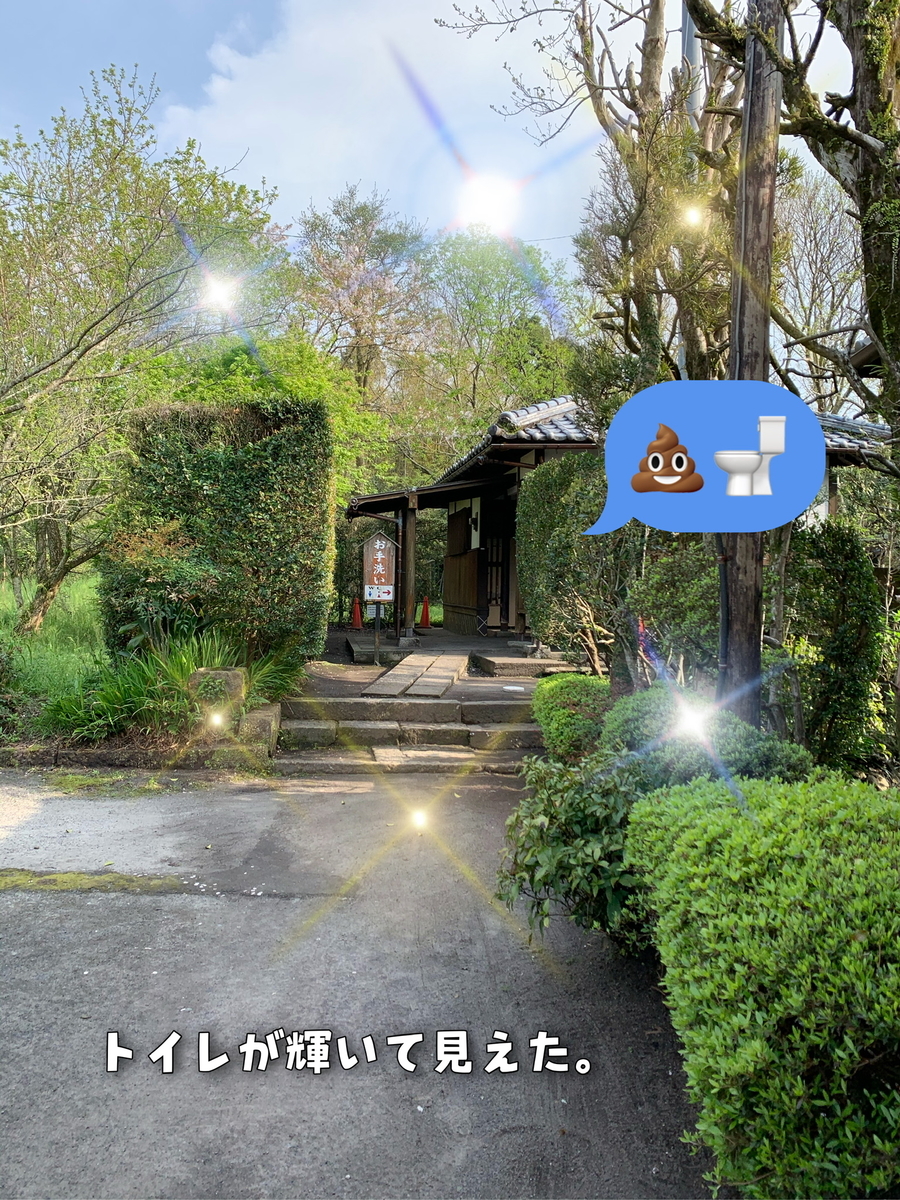 f:id:hachiburo:20210611150708j:plain