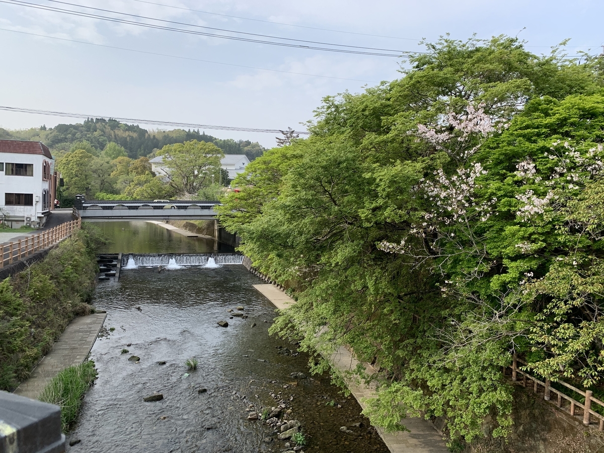 f:id:hachiburo:20210611160210j:plain