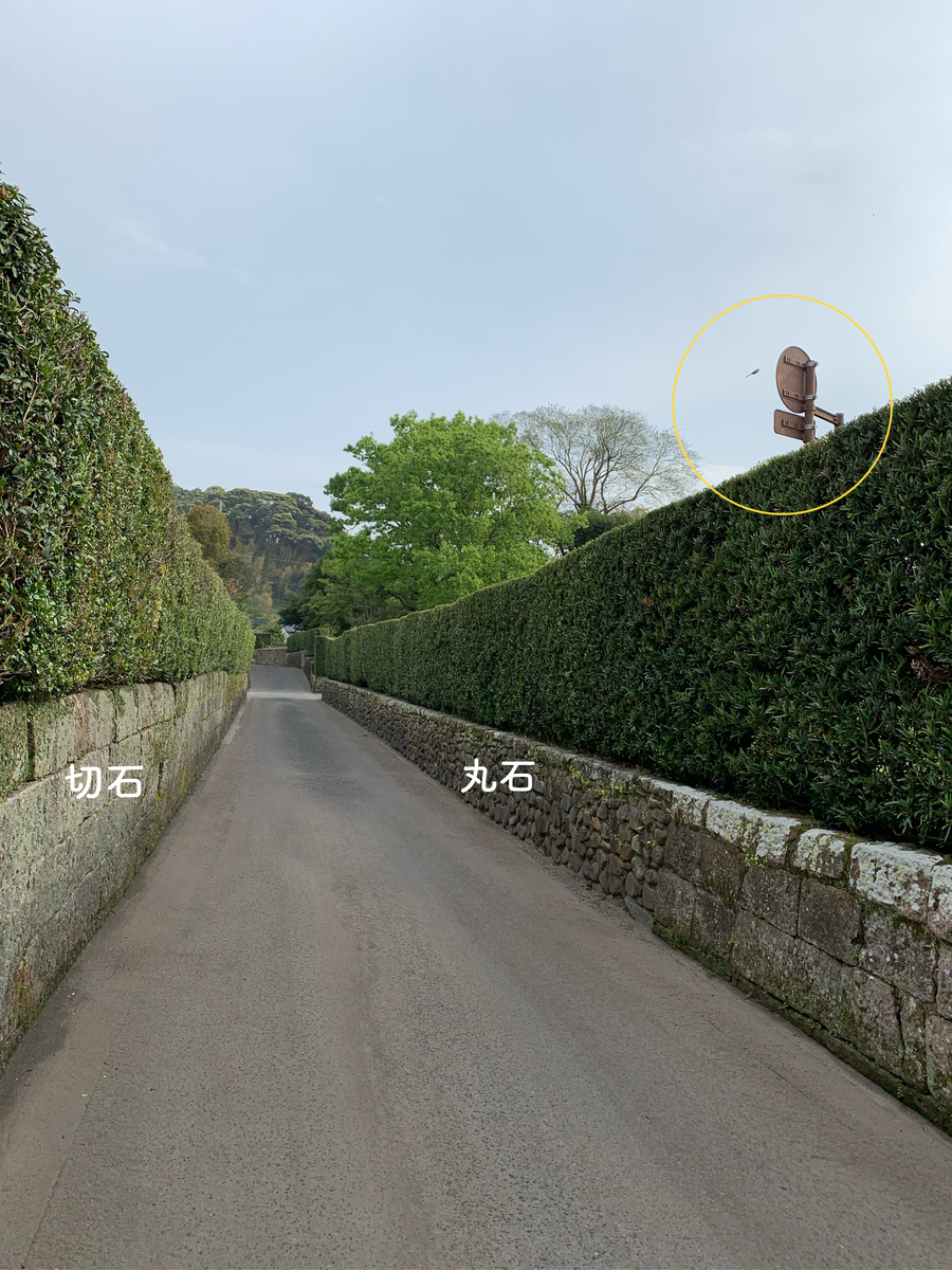 f:id:hachiburo:20210611212757j:plain