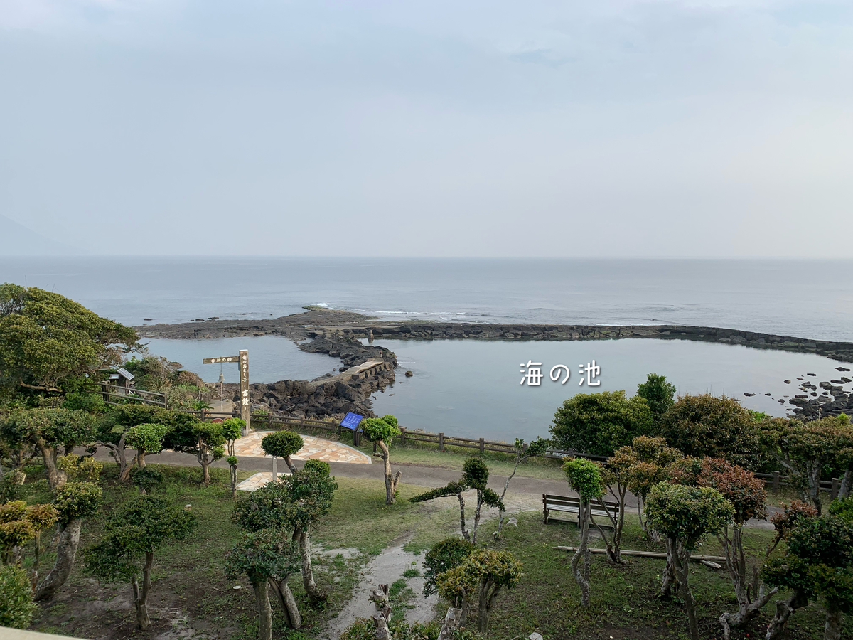 f:id:hachiburo:20210626191802j:plain