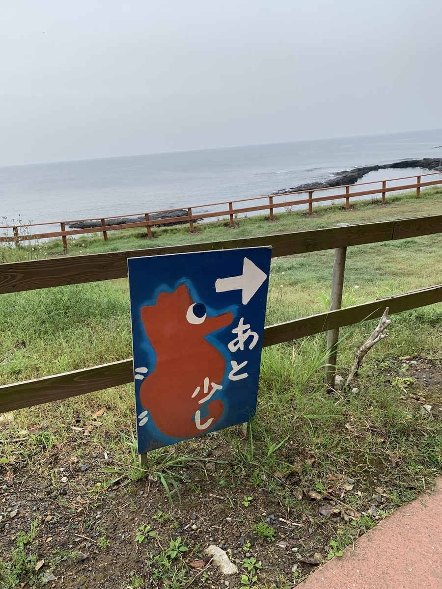 f:id:hachiburo:20210626202146j:plain