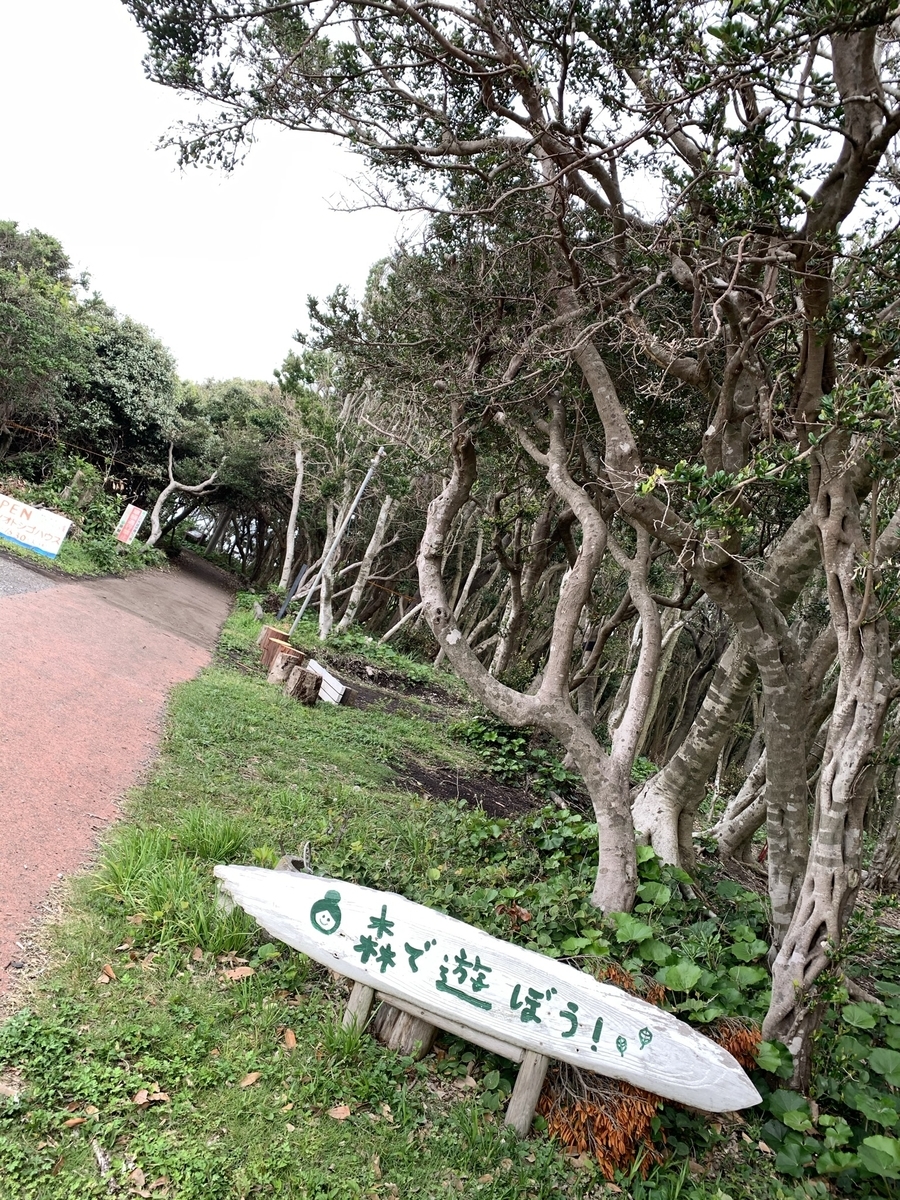 f:id:hachiburo:20210626202717j:plain