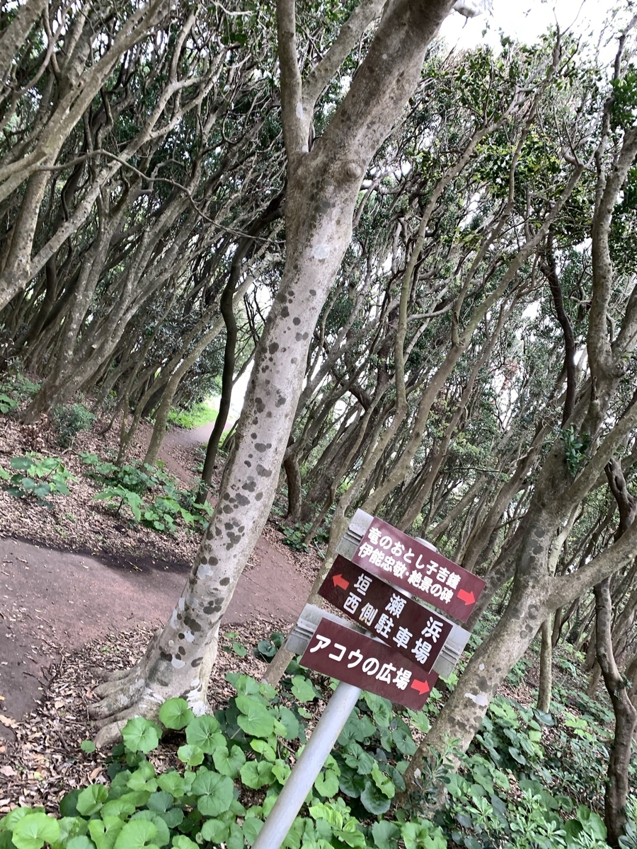f:id:hachiburo:20210626202824j:plain