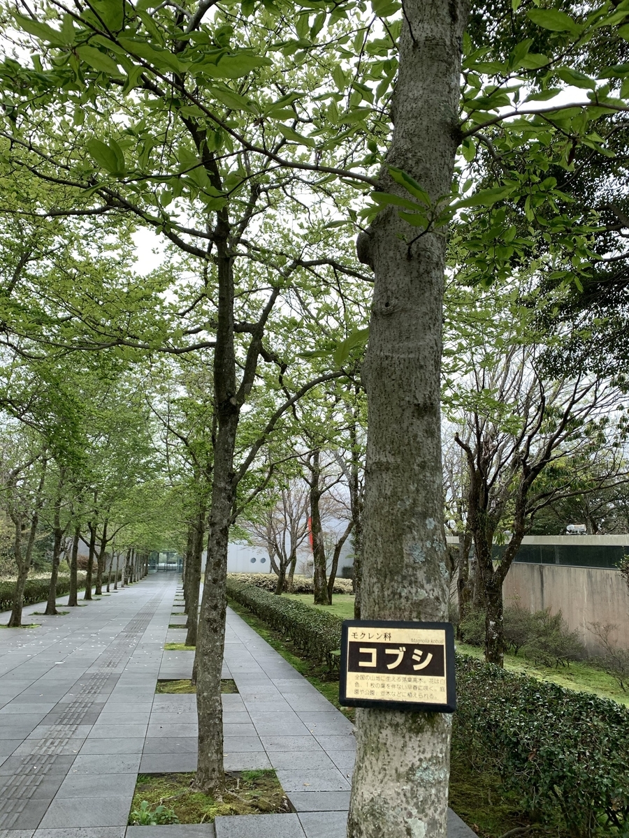 f:id:hachiburo:20210729155542j:plain