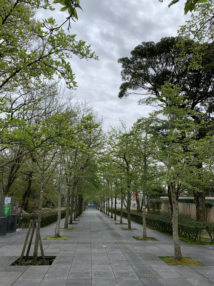 f:id:hachiburo:20210729155709j:plain