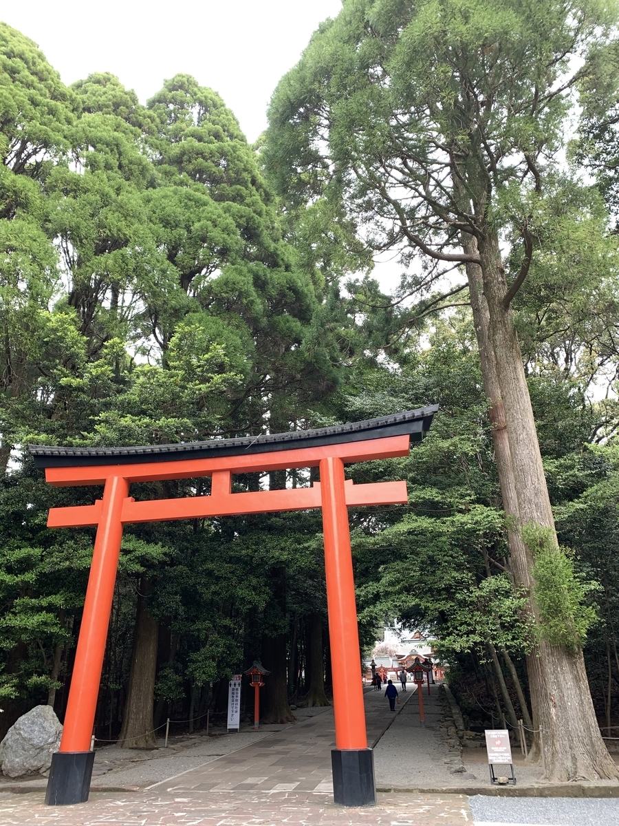 f:id:hachiburo:20210813111428j:plain