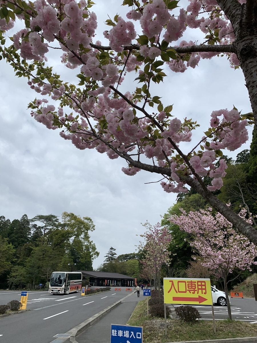 f:id:hachiburo:20210813112343j:plain