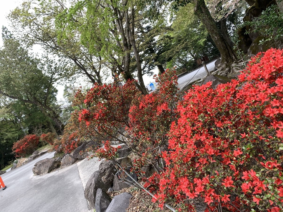 f:id:hachiburo:20210813112528j:plain
