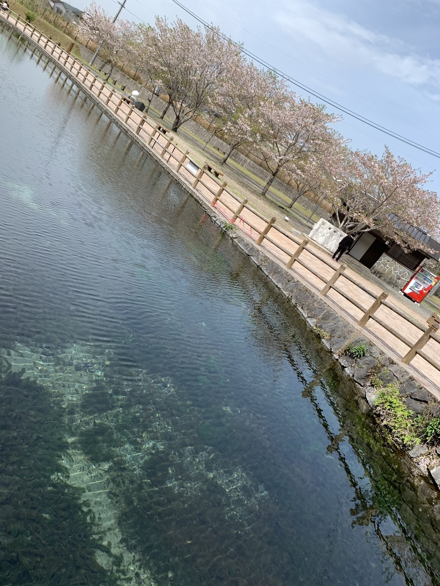 f:id:hachiburo:20210825160256j:plain