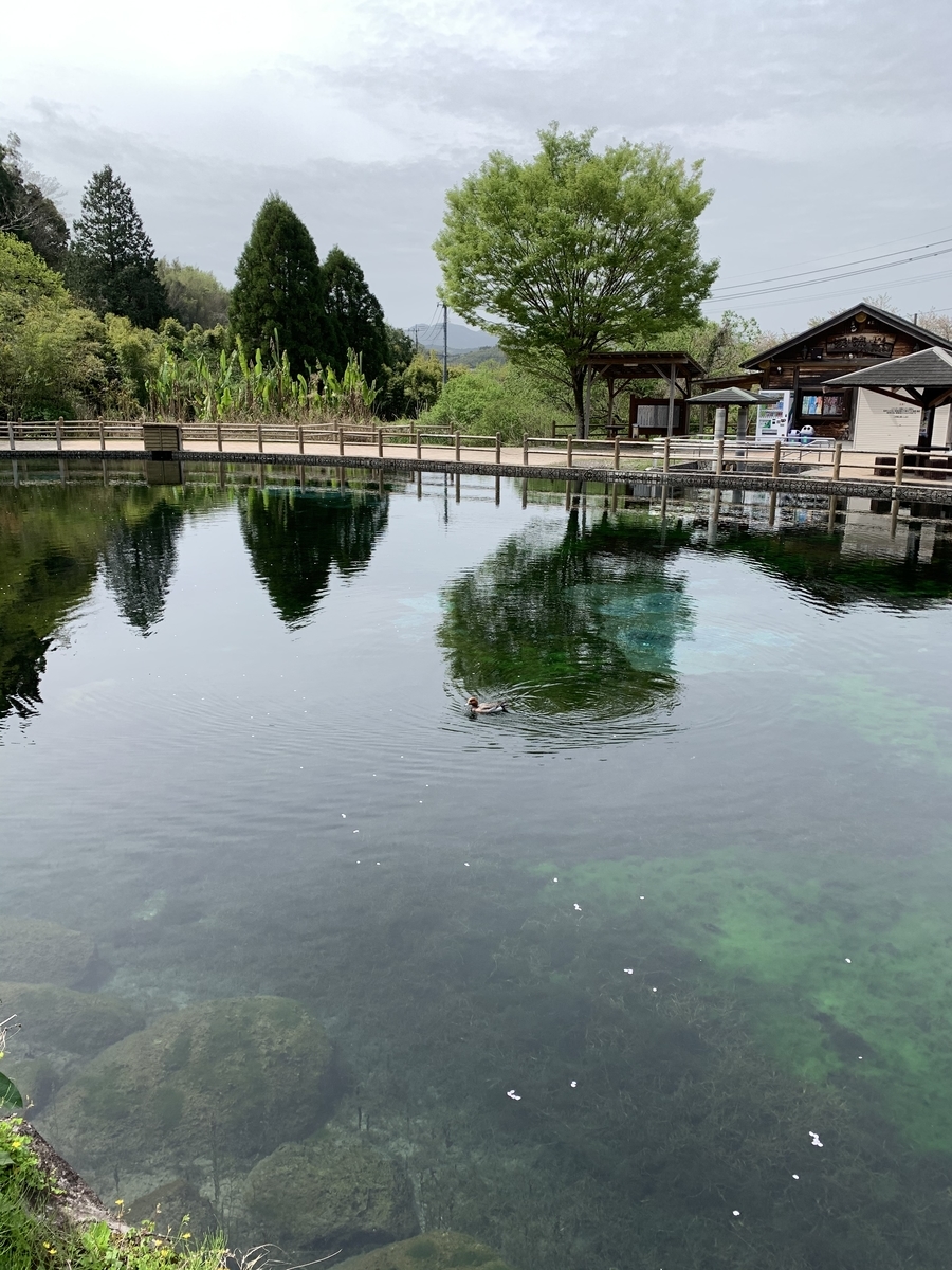 f:id:hachiburo:20210825160338j:plain