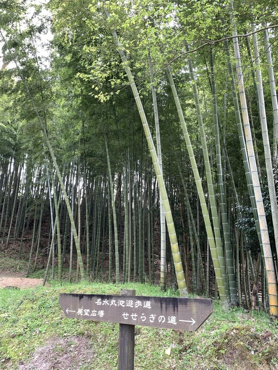 f:id:hachiburo:20210825160957j:plain