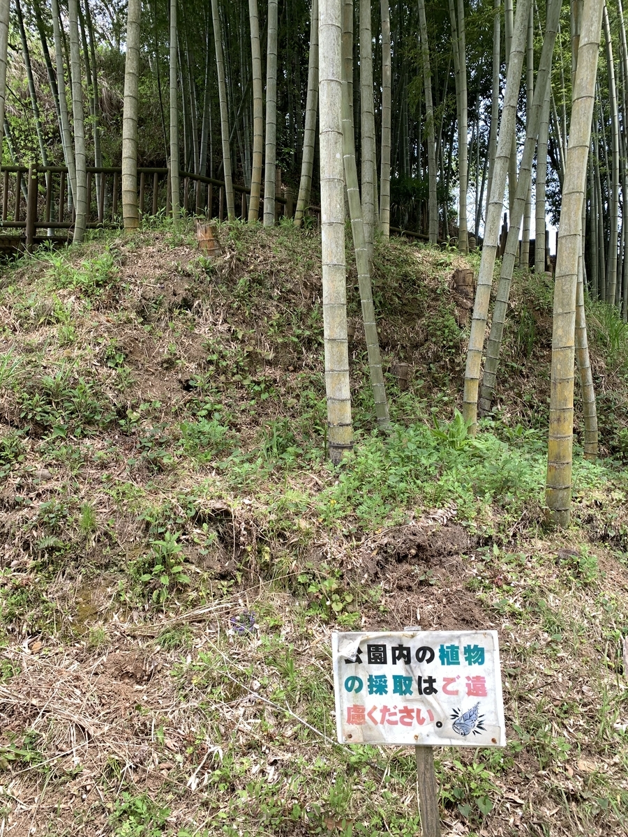 f:id:hachiburo:20210825161115j:plain