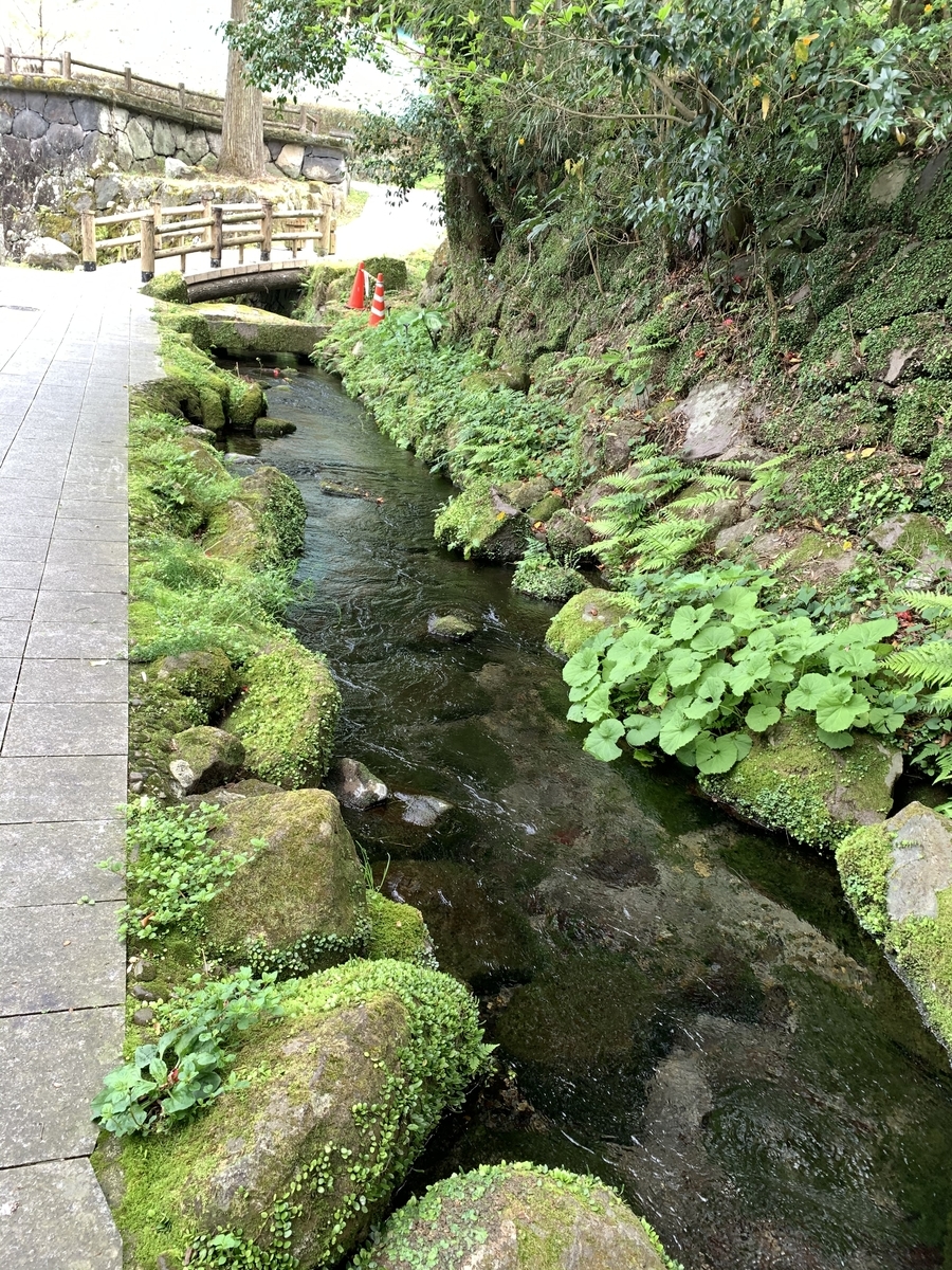 f:id:hachiburo:20210825161226j:plain