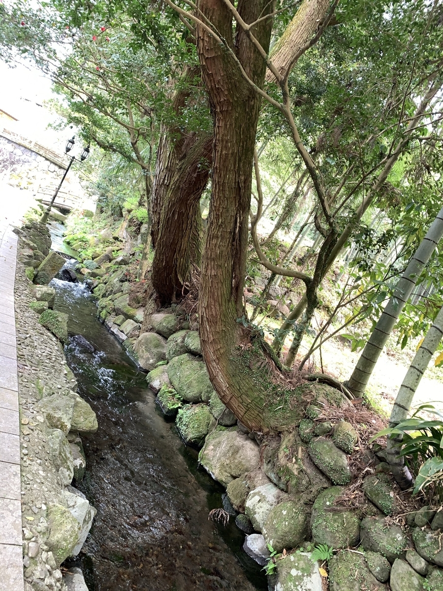 f:id:hachiburo:20210825161302j:plain