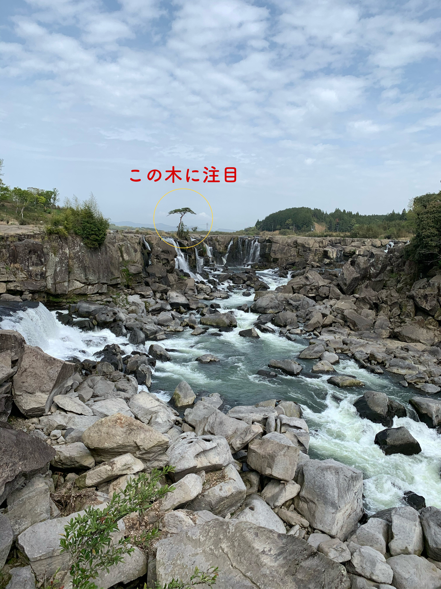 f:id:hachiburo:20210827134358j:plain