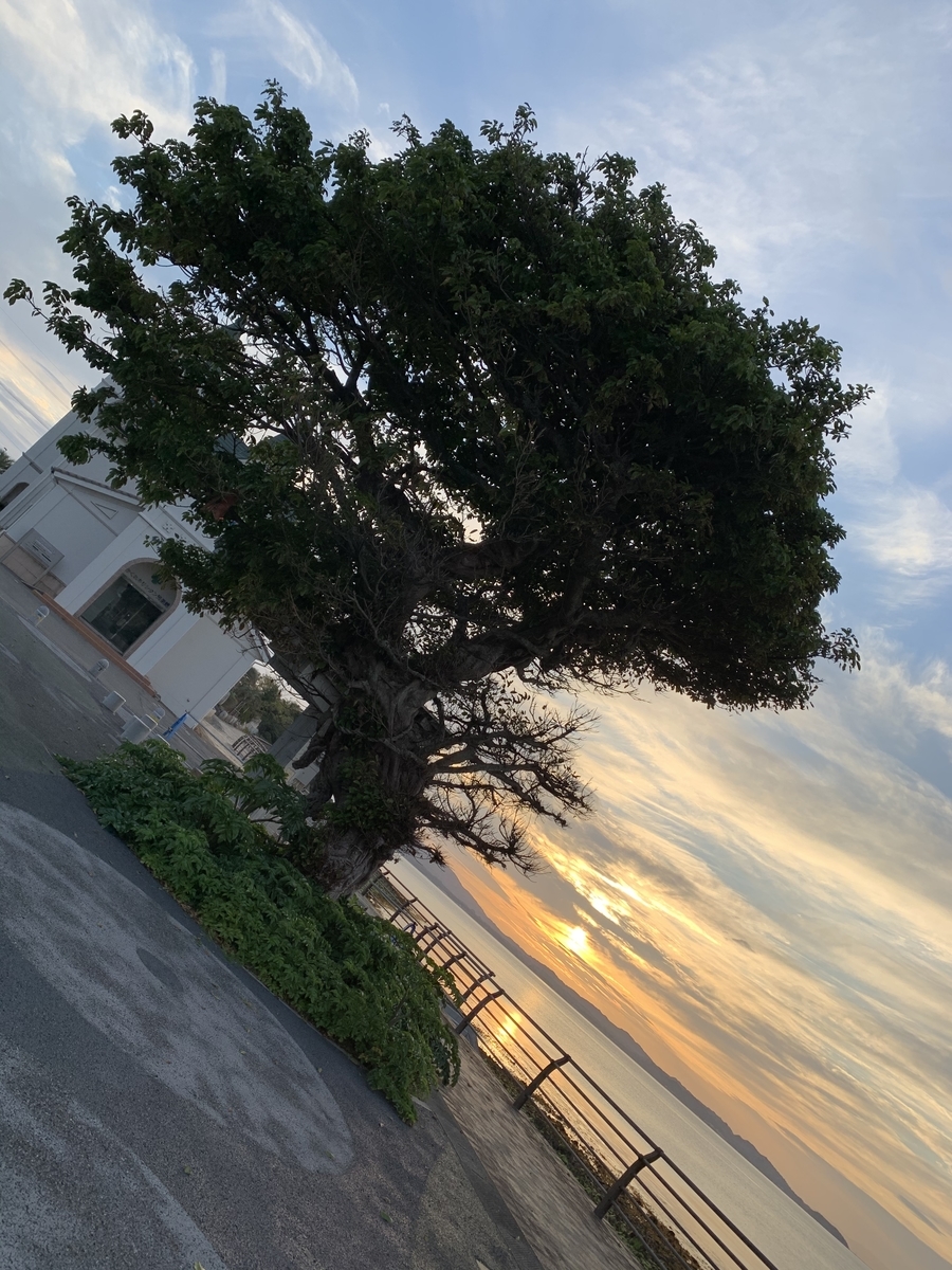 f:id:hachiburo:20210928160200j:plain