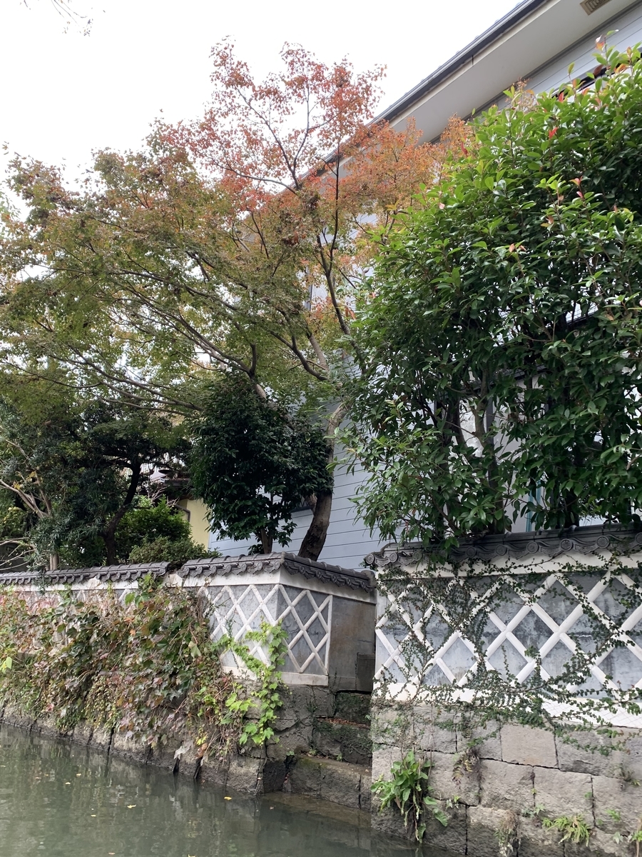 f:id:hachiburo:20220109104809j:plain