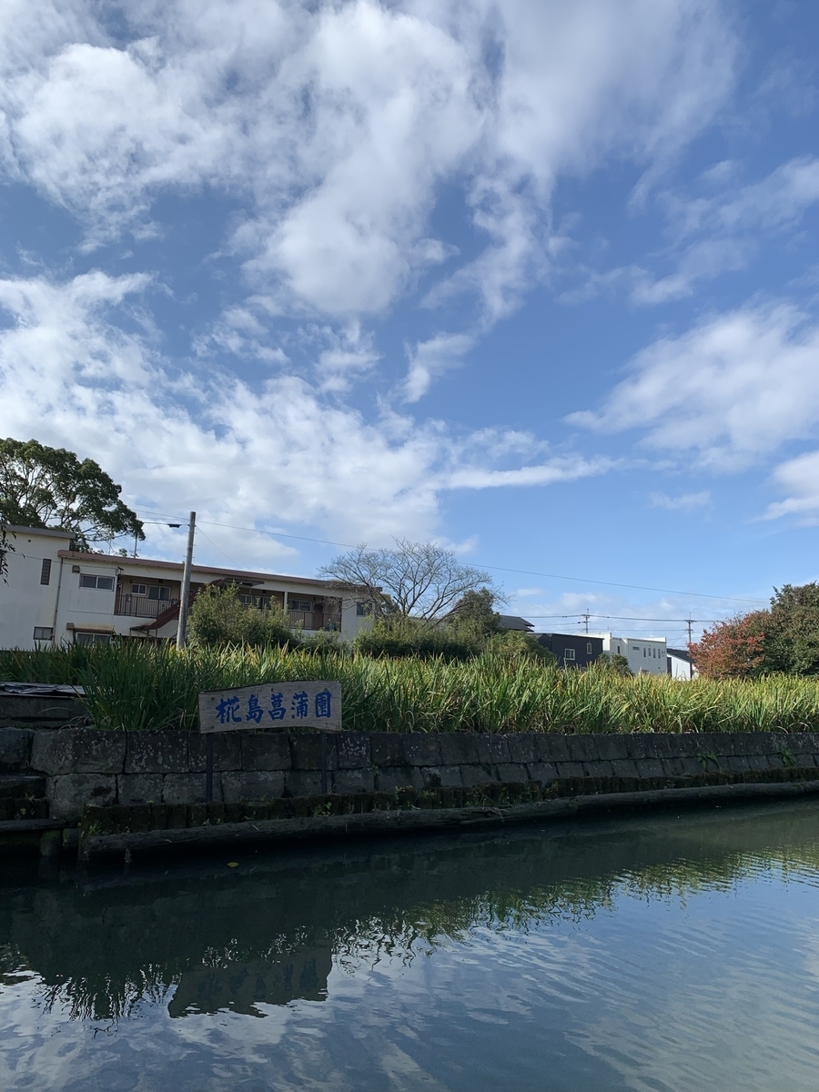 f:id:hachiburo:20220109111540j:plain