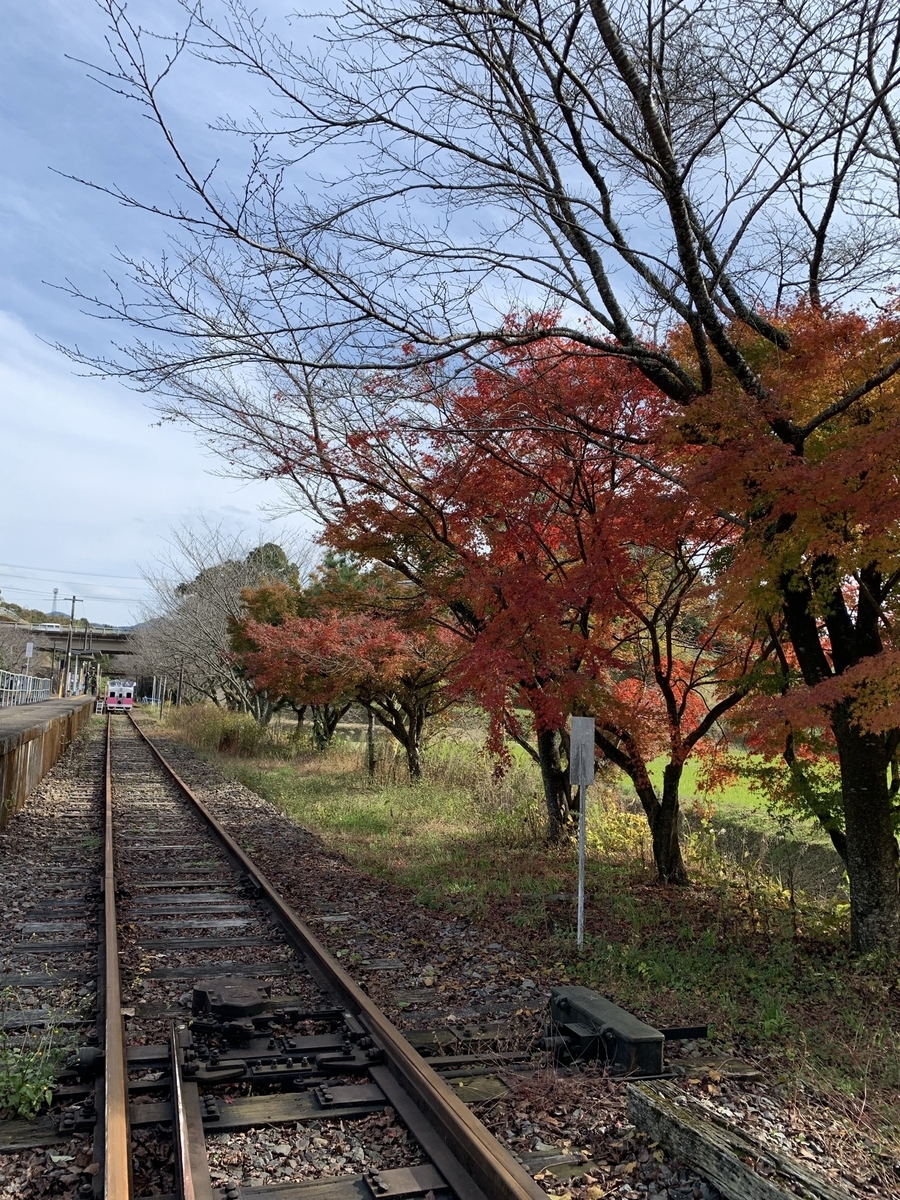 f:id:hachiburo:20220130104909j:plain