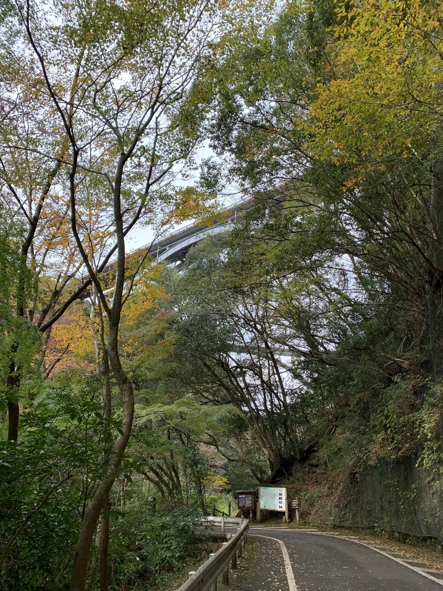 f:id:hachiburo:20220130123301j:plain