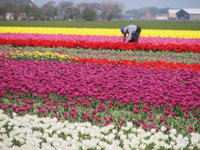 f:id:hachim:20110425031554j:image