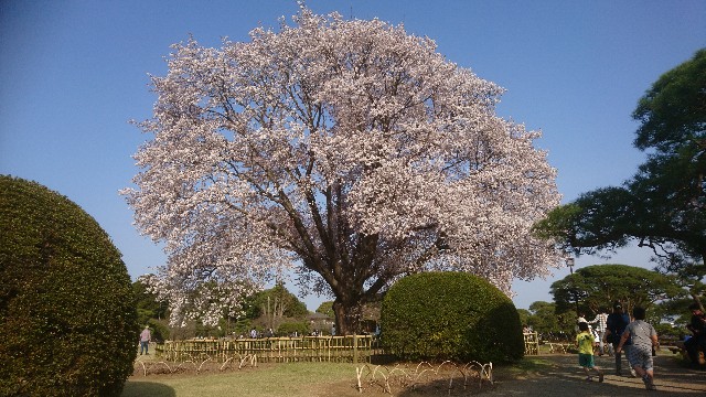 f:id:hachimaki0619:20180406174051j:image