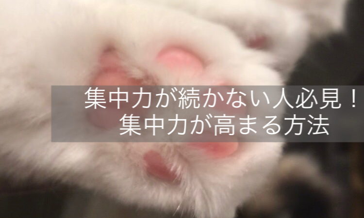 f:id:hachingos:20190714200910j:plain