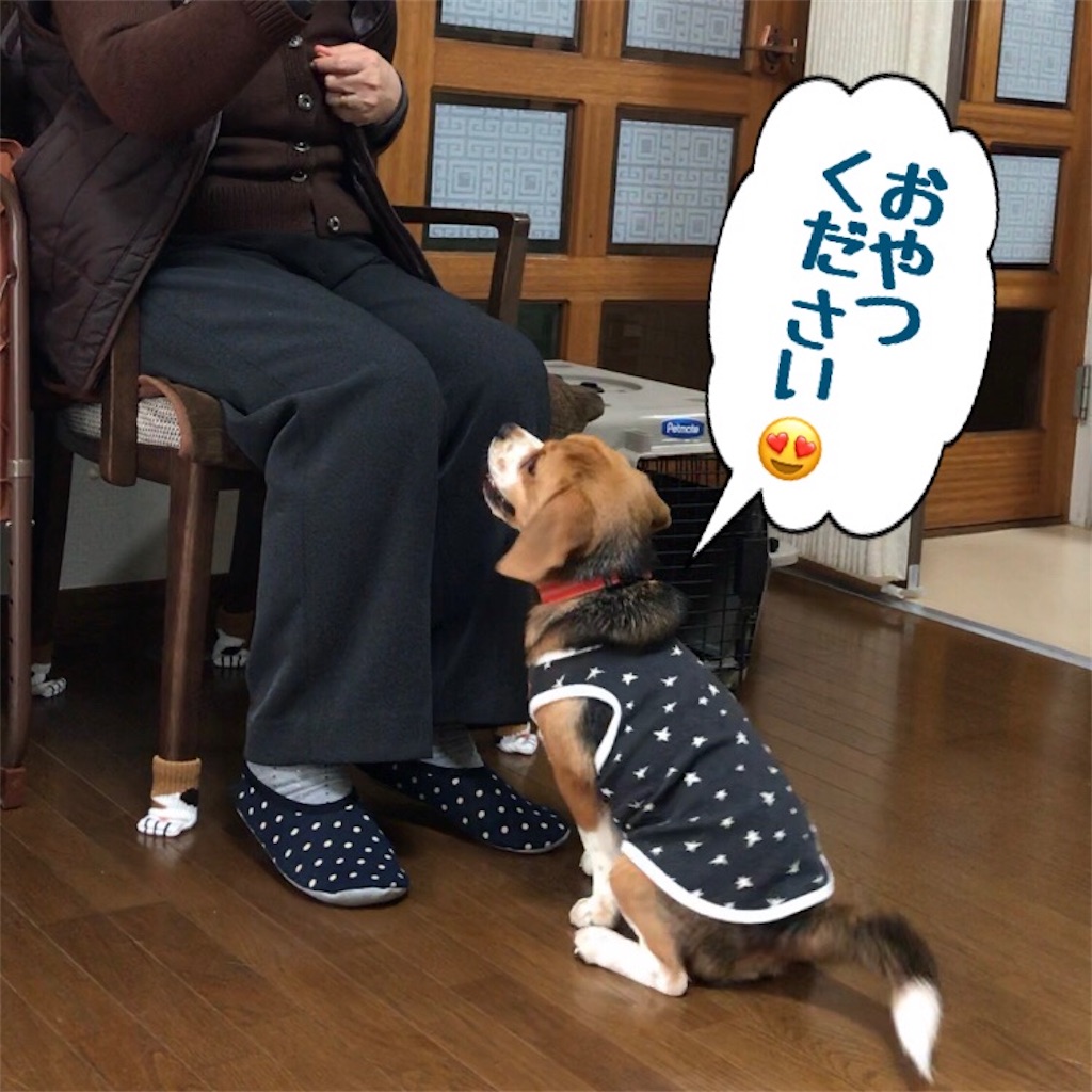 f:id:hachinohige:20200101182528j:image