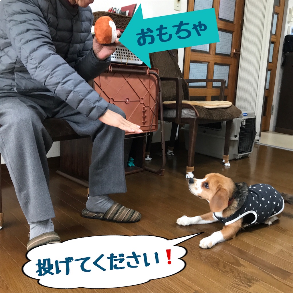 f:id:hachinohige:20200101182533j:image