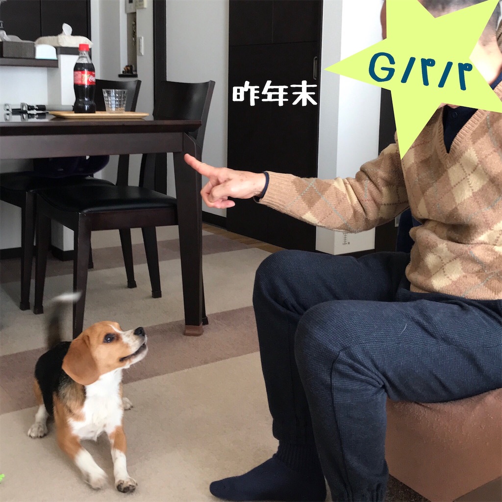 f:id:hachinohige:20200331110757j:image f:id:hachinohige:20200331110757j:image
