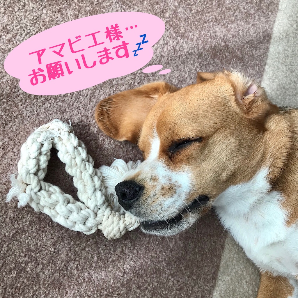 f:id:hachinohige:20200601182102j:image f:id:hachinohige:20200601182102j:image
