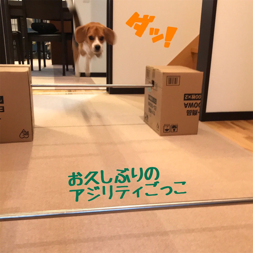 f:id:hachinohige:20200907193423j:image