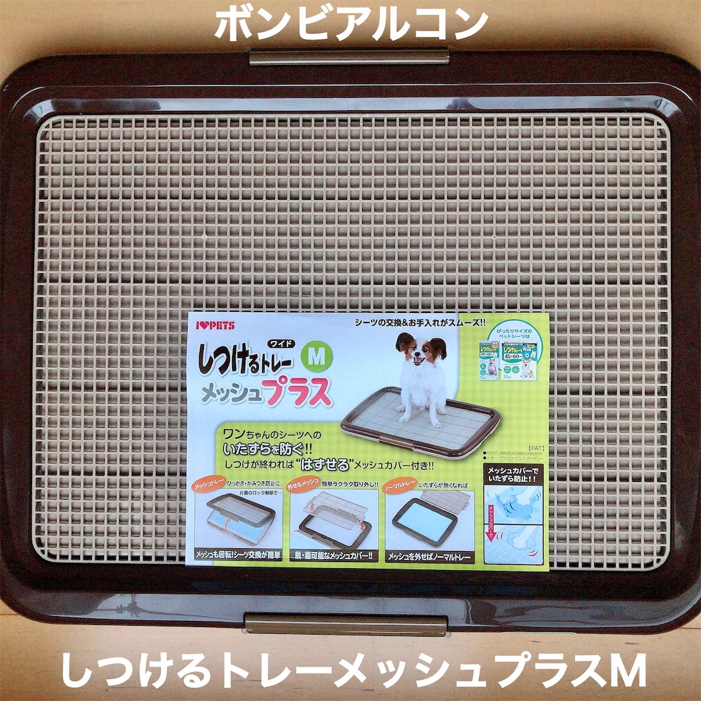 f:id:hachinohige:20201225175015j:image f:id:hachinohige:20201225175015j:image